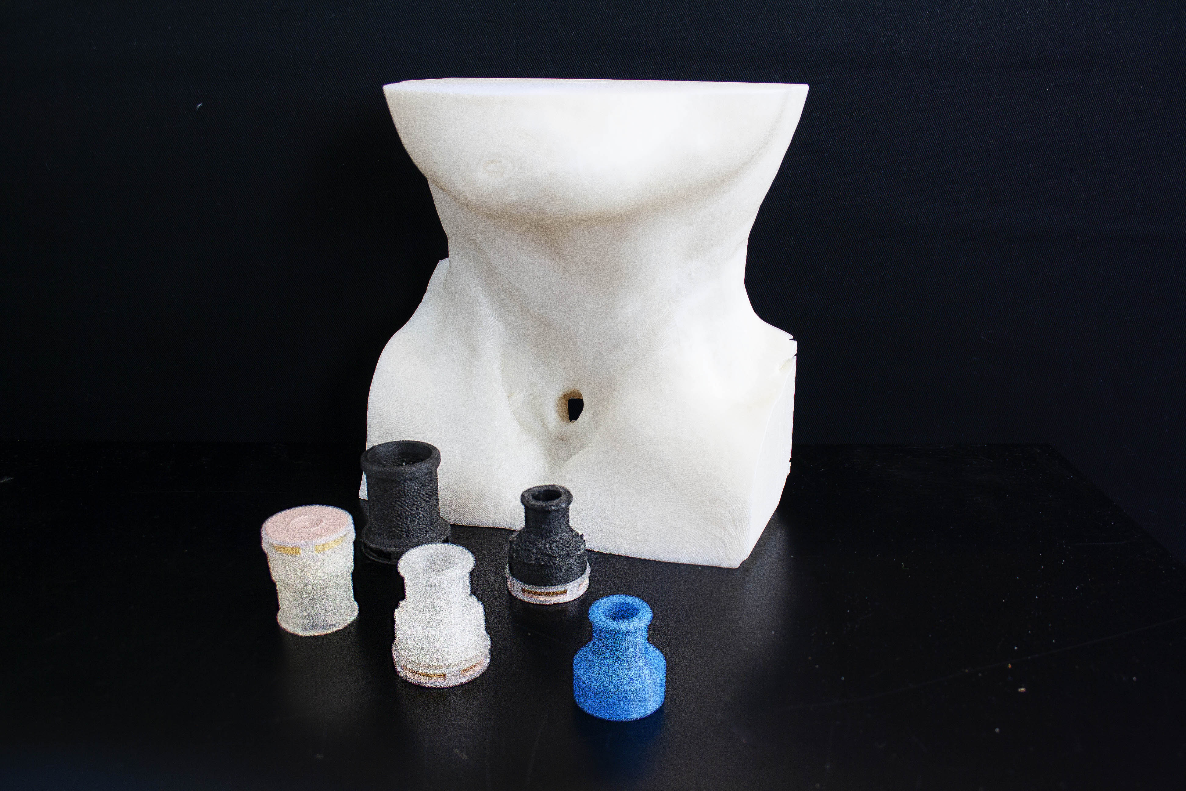 An anatomical neck model with several cannula prototypes displayed in front